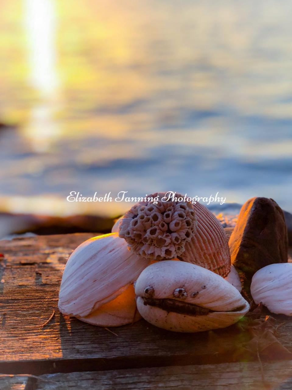 Sea Mist Waterfront B&B Camano エクステリア 写真